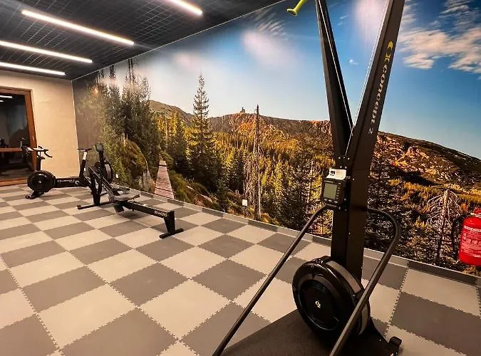 Park C9-z Dostepem Do Basenu, Sauny, Jacuzzi, Silowni Lejlighed Szklarska Poręba